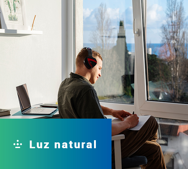 Descripción de la imagen